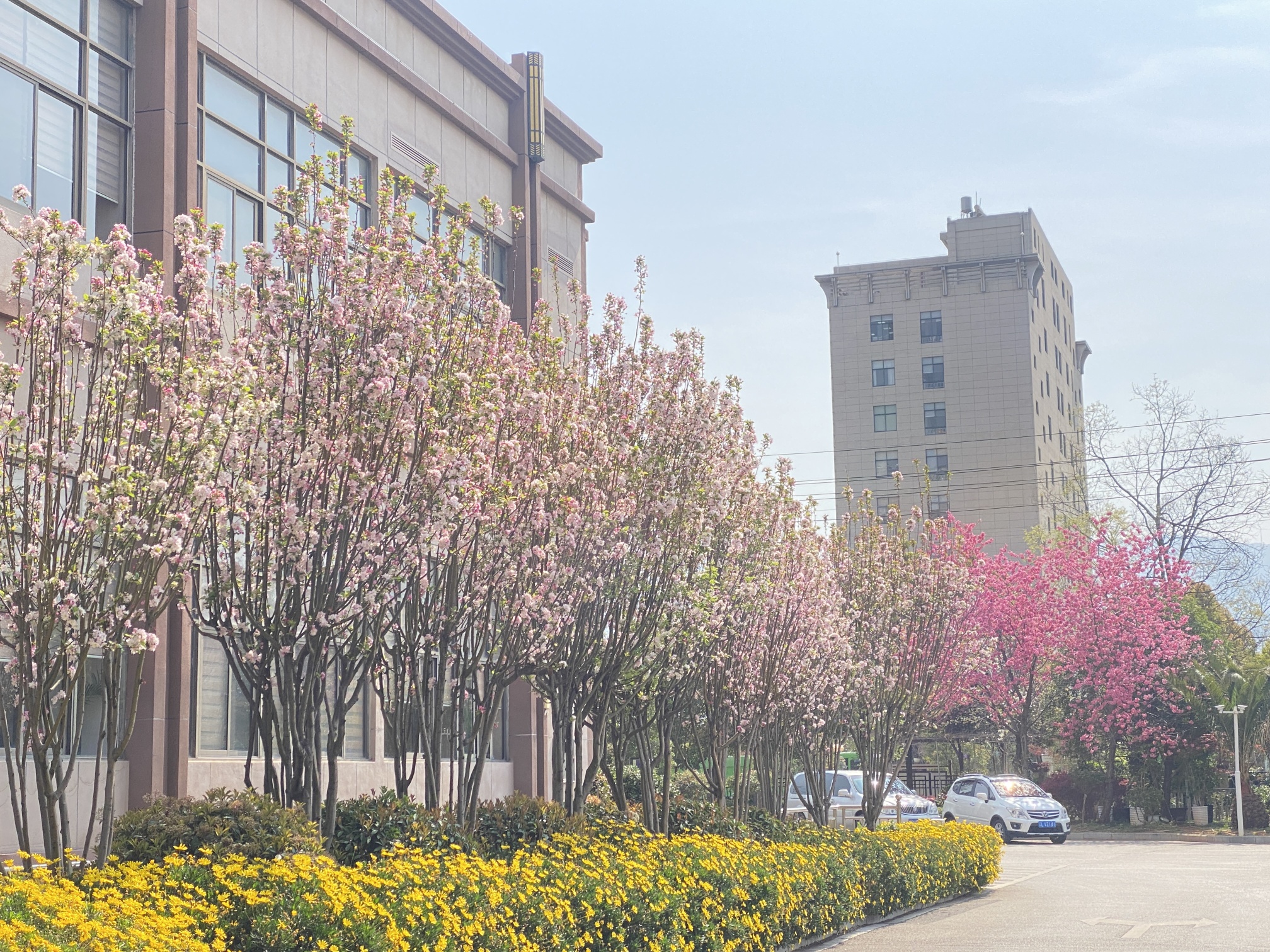 Fangda Hotel Over view
