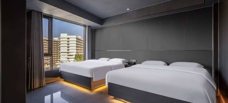 六棵树客栈图片