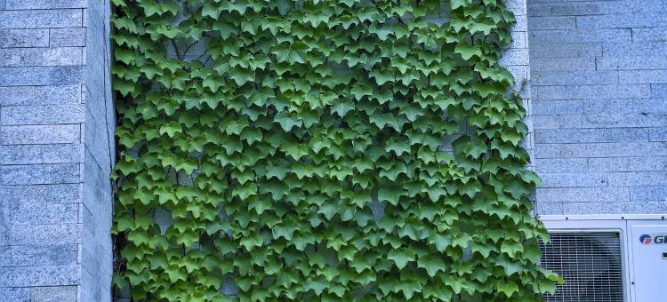 庐山香泉居•庐隐温泉民宿(天沐温泉度假村店)图片