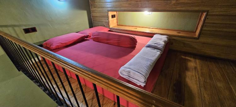 海狼出没(曾用名：洪馆小舍)(BarraCuda Den (previously known as Jono's Place))图片