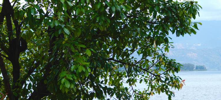 太阳与海民宿图片