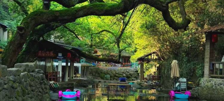 桐庐白云山舍民宿(白云源度假区店)图片
