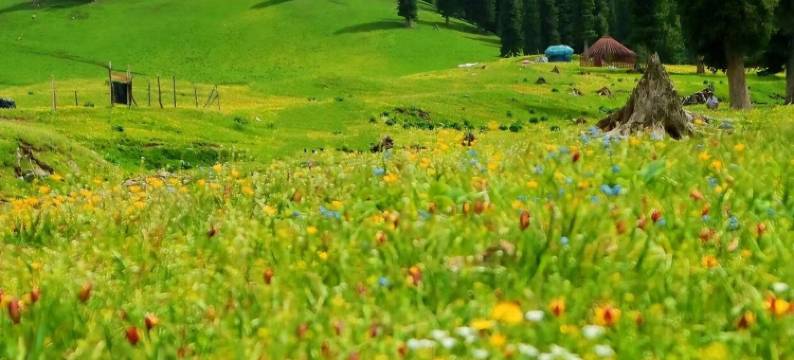 丽思铂悦酒店(那拉提旅游风景区客运站店)图片