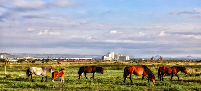 暮云归太空舱民宿(乌兰哈达火山地质公园店)图片