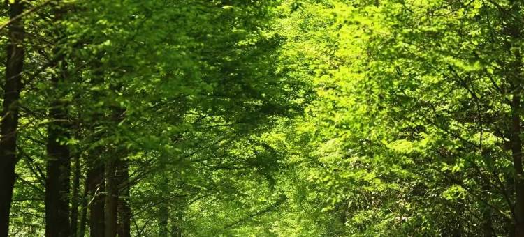 驿居酒店(乐山大佛张公桥美食街店)图片