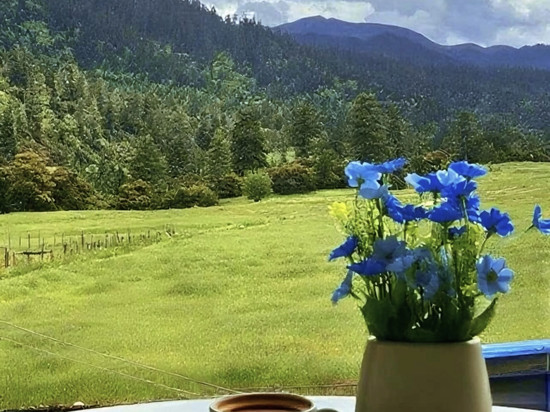 林芝·鲁朗丨Natural oxygen bar财鹿庄园(鲁朗国际旅游小镇店)