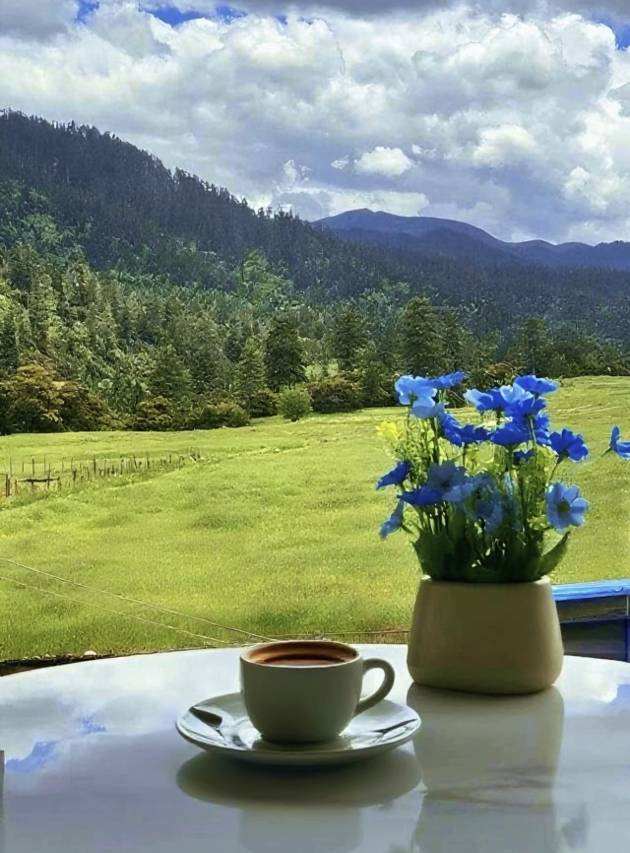 林芝·鲁朗丨Natural oxygen bar财鹿庄园（鲁朗国际旅游小镇店）