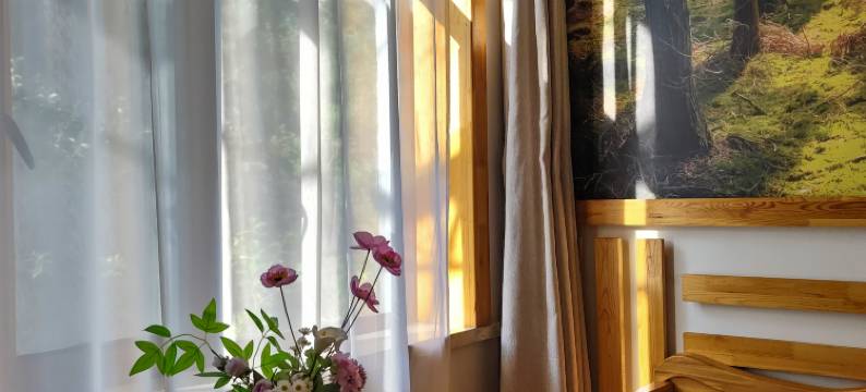 根河美林山悦酒店图片