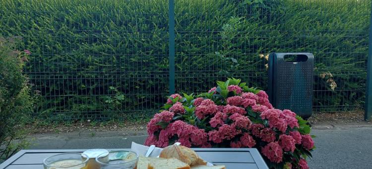 普瑞米尔酒店-蒂洛伊莱莫夫兰斯(Premiere Classe Arras - Tilloy-Les-Mofflaines)图片