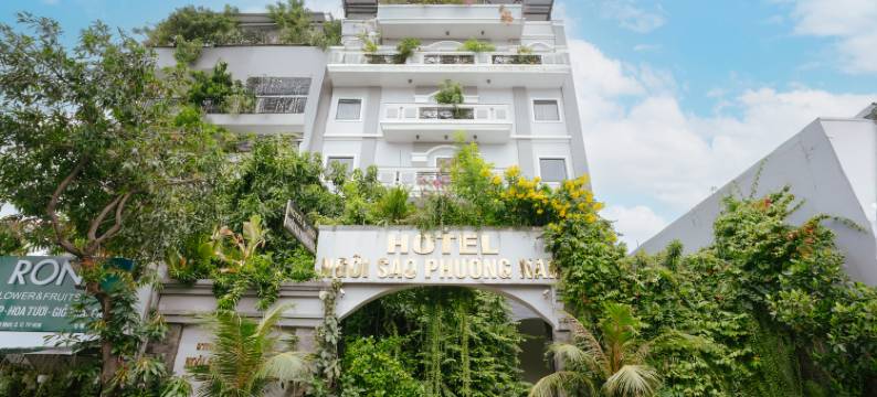 Collection O Southern Star Hotel(Collection O Southern Star Hotel)图片