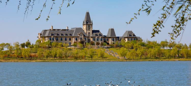 文安鲁能希尔顿酒店图片