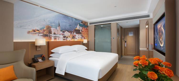 维也纳酒店(合肥肥西县华南城铜锣寨地铁站店)图片