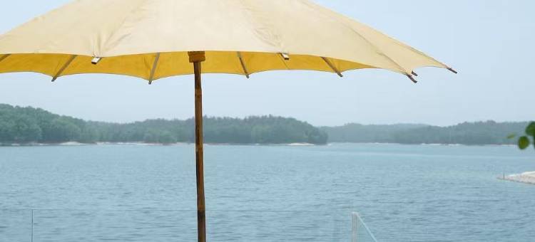 随州山里民宿图片