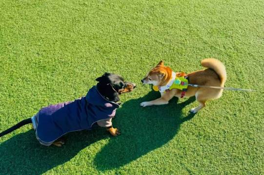 贵定天下粮仓民宿(金海雪山店)图片