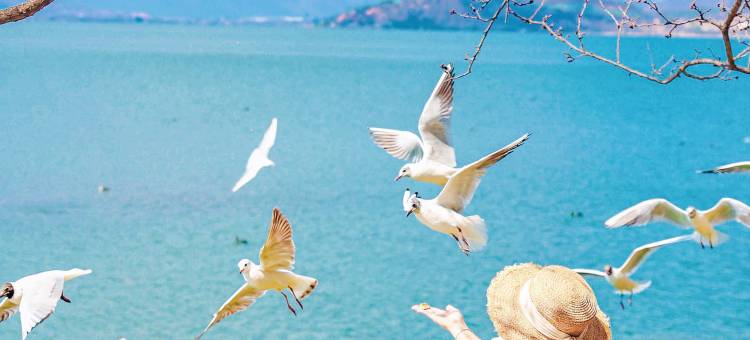 阿凯缇娅·安隐水时光海景度假酒店图片