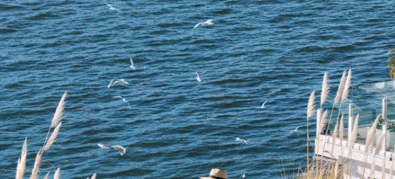 大理雲影春晓·有缘等风来海景度假酒店(双廊洱海店)图片