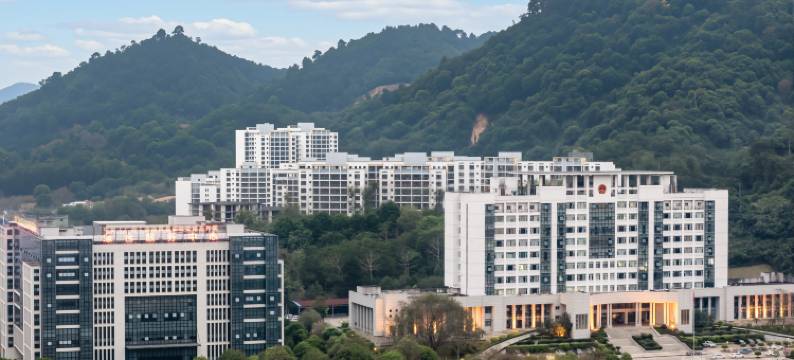 维也纳国际酒店(凭祥市政府广场店)图片