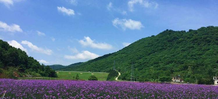 纸鸢乡村艺术民宿图片