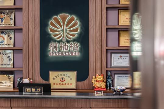 哈尔滨桐楠格大酒店(卓展购物中心中央大街店)图片