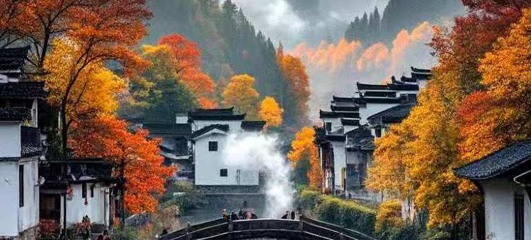 美朵酒店(宣城万达广场店)图片