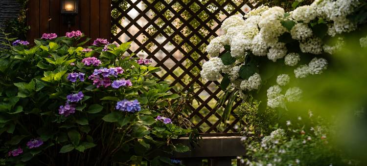 植元里·花园酒店(六盘水高铁站人民广场店)图片