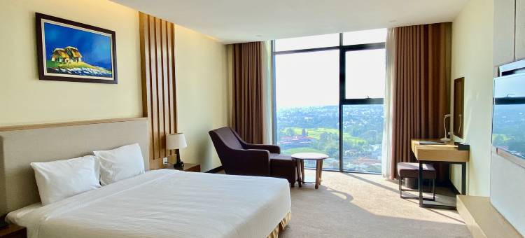 邦美蜀木荷泰奢华酒店(Muong Thanh Luxury Buon Ma Thuot Hotel)图片