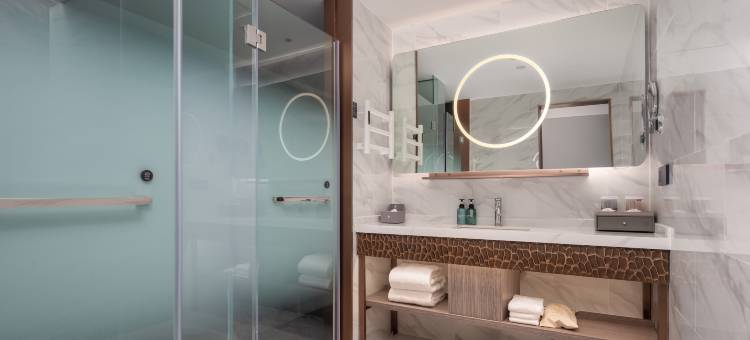 朗丽兹酒店(成都天府广场文殊院地铁站店)图片