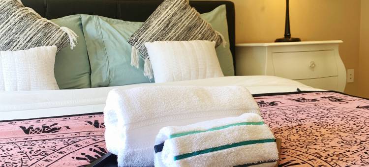 温哥华拉维豪姆轻奢民宿(Vancouver Love Home Luxury Inn)图片