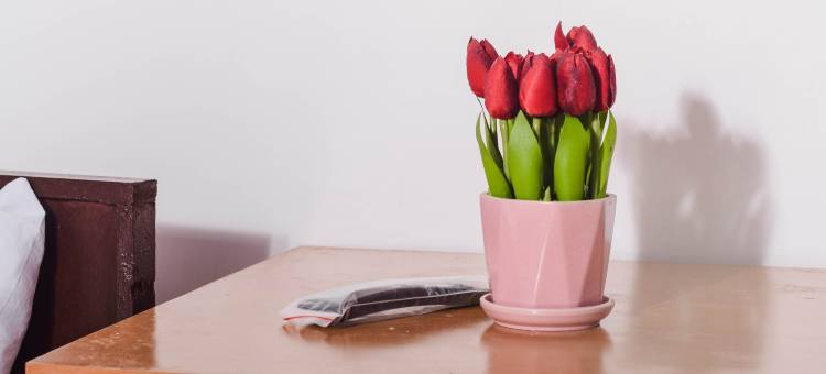 GABZ'K 旅行者旅馆(Gabz'k Travellers Inn)图片