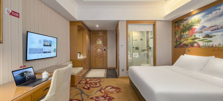 维也纳酒店(郑州只有河南电影小镇店)图片