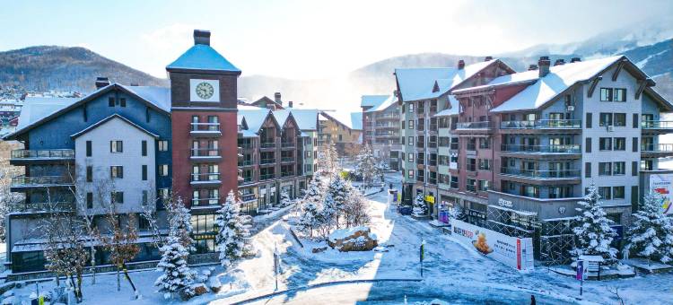 青山鹿迩公寓(吉林万科松花湖滑雪场店)图片