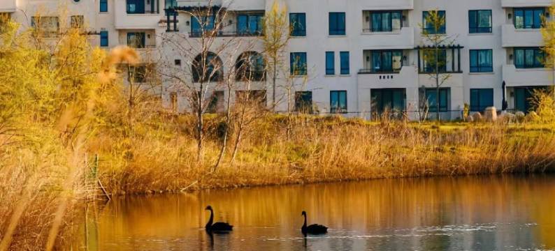 澜舍精品民宿(昌黎县政府昌黎火车站店)图片