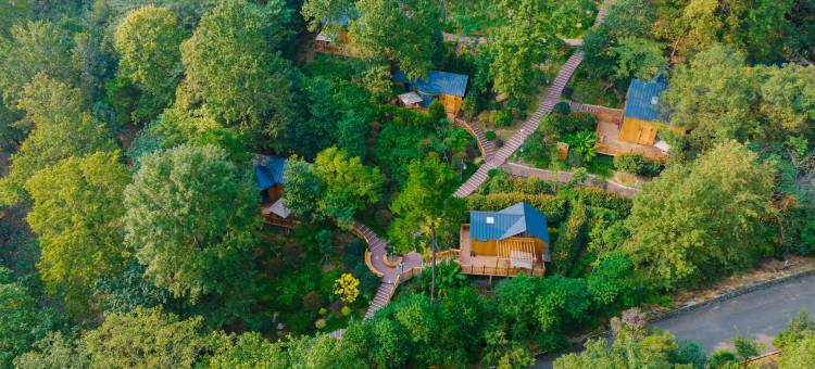 巢湖东庵森林公园酒店图片