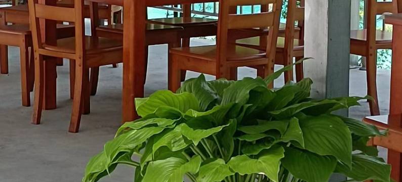 文县天乐山庄(天池景区店)图片