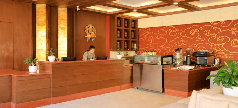 多尔玛灵酒店(Hotel Dolmaling)图片