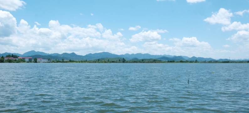 陶所花庄一号民宿图片