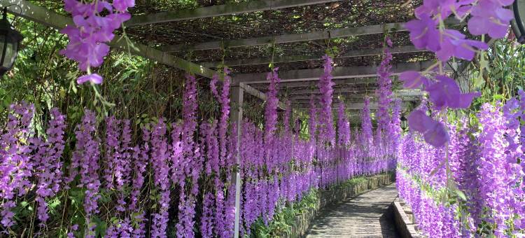 屏边众和民宿图片