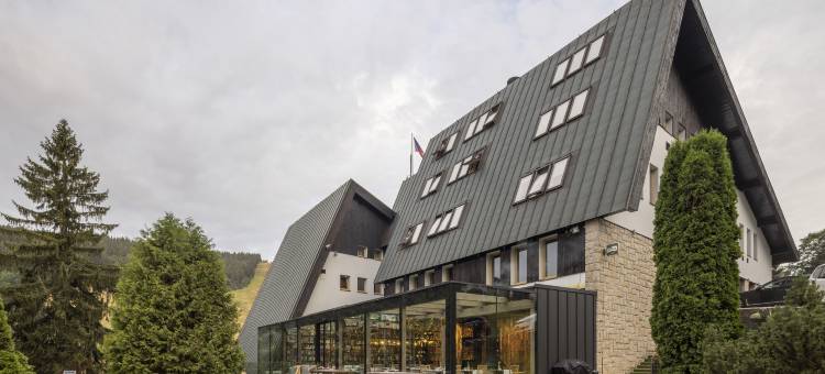 哈拉霍夫皮特劳恩康体酒店(Pytloun Wellness Hotel Harrachov)图片