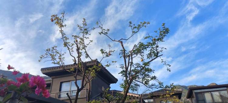 山水山外山民宿图片