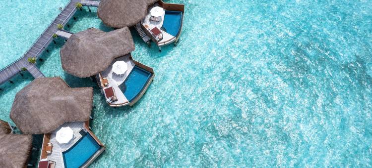 巴罗什马尔代夫酒店(Baros Maldives)图片