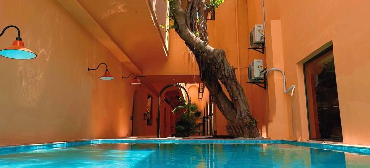 Wild·奢野｜Retreat To Nature设计师民宿(西街开元寺店)图片