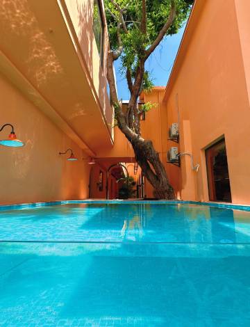 Wild·奢野花园｜Retreat To Nature设计师民宿(西街开元寺店)图片