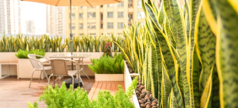 Rollin•如林酒店 (珠海拱北口岸富华里店)图片