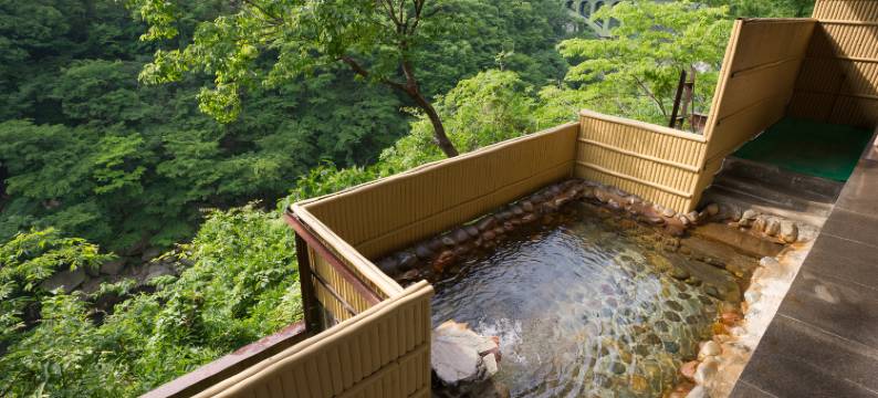 鬼怒川温泉　绝景之宿　福松旅馆(Kinugawaonsen Fukumatsu)图片