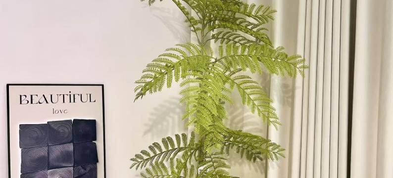 禧·宿民宿(昭通巧家红卫街店)图片