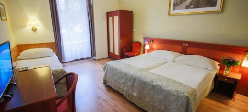 瓦茨拉夫广场酒店(Wenceslas Square Hotel - Czech Leading Hotels)图片