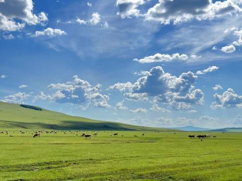 黑山头明枫小筑酒店图片