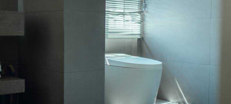 大理无二民宿(古城洋人街店)图片