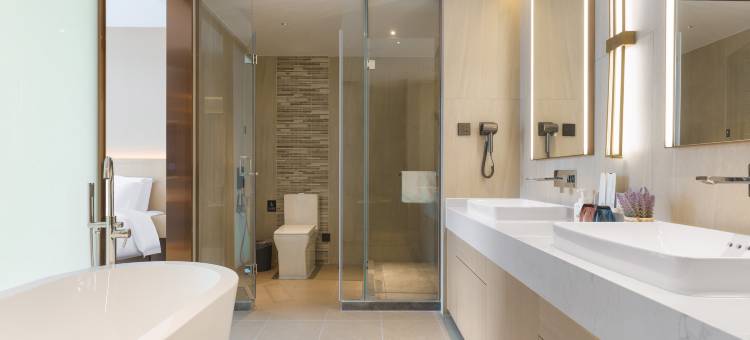 麗枫酒店(景德镇陶阳里陶瓷古玩城店)图片