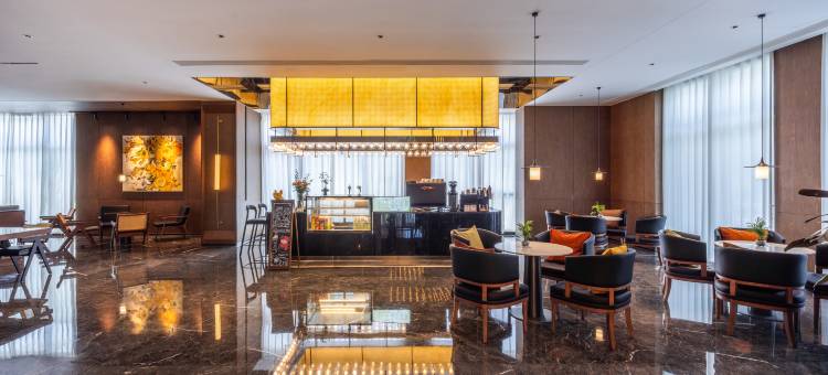 南京南站百家湖逸扉酒店图片